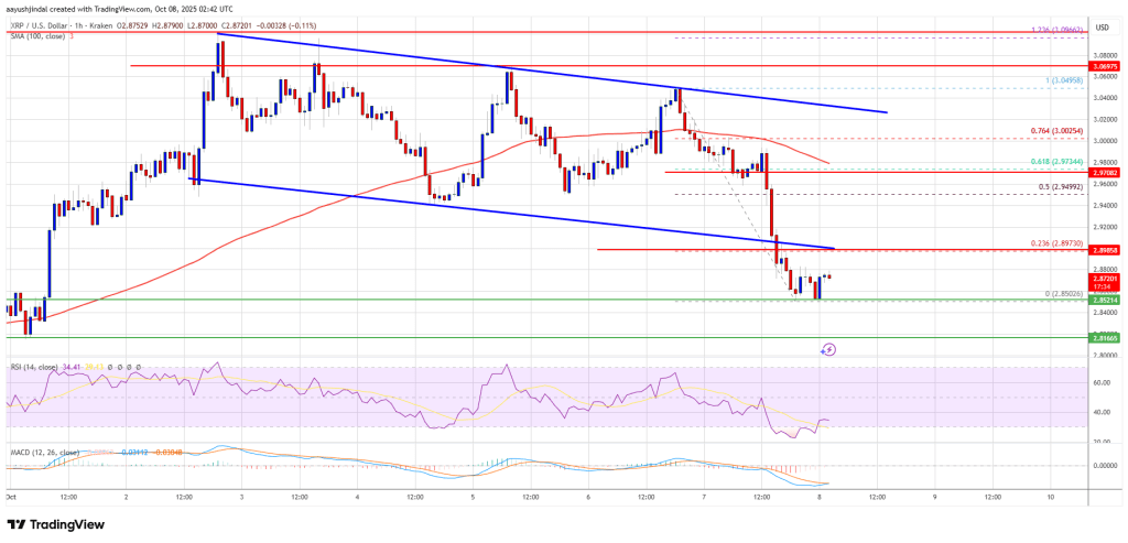XRP价格跌破支撑位 - 跌势加速中?