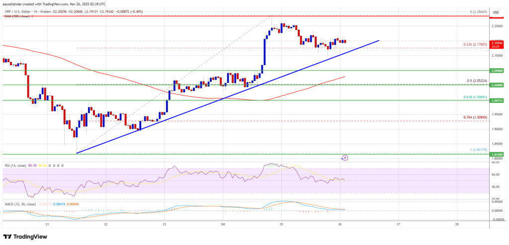 XRP价格坚挺，或将迎来飙升——接下来究竟会发生什么？